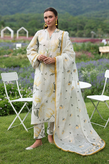 Baroque UF-4235 Online Shopping